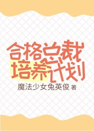 合格總裁培養計劃